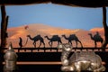 View out of luxury tent to dunes with arabian camels in Abu Dhabi. Tent decorated with lantern, laying camel, caravan silhouette