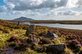 A View out over Loch Langass with Phobull Fhinn Stone Circle Surrounded by Heather in the Foreground Royalty Free Stock Photo