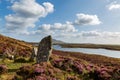 A View out over Loch Langass with Phobull Fhinn Stone Circle Surrounded by Heather in the Foreground Royalty Free Stock Photo