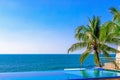 View of the outdoor pool by the sea. There is a lush palm tree next to the pool. Sanya, China.