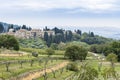 View of the outskirts of Castellina Di Chianti in Tuscany, Italy, with cypresses and olive groves in autumn Royalty Free Stock Photo