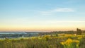 View of the outskirts of Oryol in the morning at dawn in the fog  field herbs in the foreground  small houses  fields  forests. Royalty Free Stock Photo