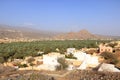 View over Al Hamra historic town in Oman, Asia, Arabian Penisula Royalty Free Stock Photo