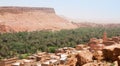 View over the ancient city and oasis of Tinerhir in Morocco