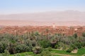 View over the ancient city and oasis of Tinghir in Morocco