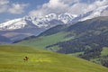 Assy Plateau near Almaty, Kazakhstan Royalty Free Stock Photo