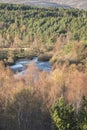 View over Autumn forest and River Dulnain at Sluggan in the Highlands of Scotland.