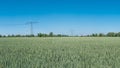 View over beautiful farm landscape with wheat field, poppies and chamomile flowers, wind turbines to produce green energy and Royalty Free Stock Photo
