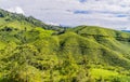 View over the beautiful green tea plantation in the Cameron Highlands in Brinchang, Malaysia Royalty Free Stock Photo