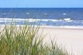 View over beautiful white sand beach and ocean with blue sky from sand dunes with grass Royalty Free Stock Photo