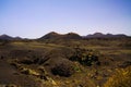 View over black lava field with contrasting isoalted yellow flowers on crater of volcano - Timanfaya NP, Lanzarote Royalty Free Stock Photo