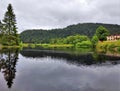 View over black Lispach Lake with large tree Royalty Free Stock Photo