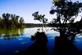 View over black silhouette of tree trunks and branches on blue isolated idyllic german lake with green forest background Royalty Free Stock Photo