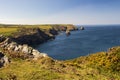 The view over Boscastle harbour, Cornwall, England. Royalty Free Stock Photo