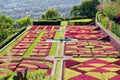 View over the botanical garden Jardim Botanico in Monte on Madeira island