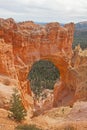 View over Bryce Canyon 2418 Royalty Free Stock Photo