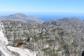 View over Cape Town from the big Table Mountain with a funny hyrax in South Africa