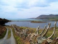 View over the bay to Inishbofin Royalty Free Stock Photo