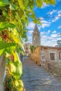 View over the cobblestone historic access road to Motovun with evangelical church during the day