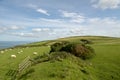 View over Countisbury, Exmoor, North Devon