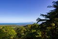 view over Daintree National Park during sunset, Cape Tribulation, Australia Royalty Free Stock Photo