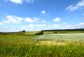 View over different fields under a blue sky with white clouds in the Lueneburger Heath Royalty Free Stock Photo