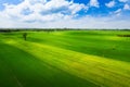 View over the early summer green fields or rice field from the air Royalty Free Stock Photo