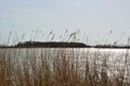 View over Ezumakeeg in the Dutch National Park Lauwersmeergebied, one of the best known bird watching places in the Netherlands Royalty Free Stock Photo