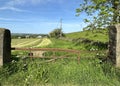 View over a farm gate, with freshly cut grass, and wild plants in, Wilsden, Yorkshire, UK Royalty Free Stock Photo