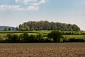 Looking out over Sussex farmland on a sunny spring day