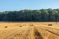 A View Over Farmland In Sussex On A Sunny Late Summer\'s Day, With Straw Bales In A Field