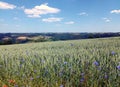View over field into valley of river Sauer in the north of Luxembourg Royalty Free Stock Photo