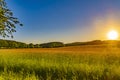 View over fields and trees in the light of the setting sun in the LÃÂ¼neburg Heath in Germany.