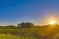 View over fields and trees in the light of the setting sun in the LÃÂ¼neburg Heath in Germany.