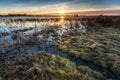 View over the floodplains of the river IJssel in Overijssel Netherlands