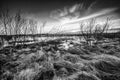 View over the floodplains of the river IJssel in Overijssel Netherlands