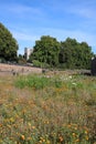 Overall view Superbloom in Tower of London moat