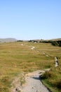 Batty Moss, Ribblehead, Penyghent, North Yorkshire Royalty Free Stock Photo