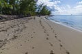 A view over footprints on a deserted beach on the island of Eleuthera, Bahamas