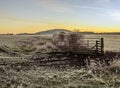 A view over the frost-covered fields and the early morning mist towards the Wrekin hill at Wroxeter, UK Royalty Free Stock Photo