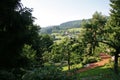 View over german village in summer Royalty Free Stock Photo