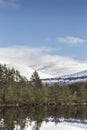 View over Glen Feshie and Inshriach Forest in Scotland. Royalty Free Stock Photo