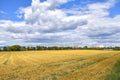 View over golden harvested fields to trees and buildings on the horizon under a blue and cloudy sky in Berlin