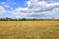 View over golden harvested fields to trees and buildings on the horizon under a blue and cloudy sky in Berlin,