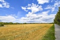 View over golden harvested fields to trees and buildings on the horizon under a blue and cloudy sky. Royalty Free Stock Photo