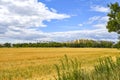 View over golden harvested fields to trees and buildings on the horizon under a blue and cloudy sky.