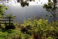 View over gorge in Hogsback area