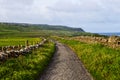 Small pedestrian path at Cliffs of Moher from Doolin, Ireland