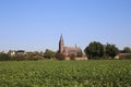 View over green agriculture field on dutch village with church in autumn - Kessel, Netherlands Royalty Free Stock Photo