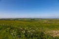 A rural South Downs view near Falmer in Sussex, with a blue sky overhead Royalty Free Stock Photo